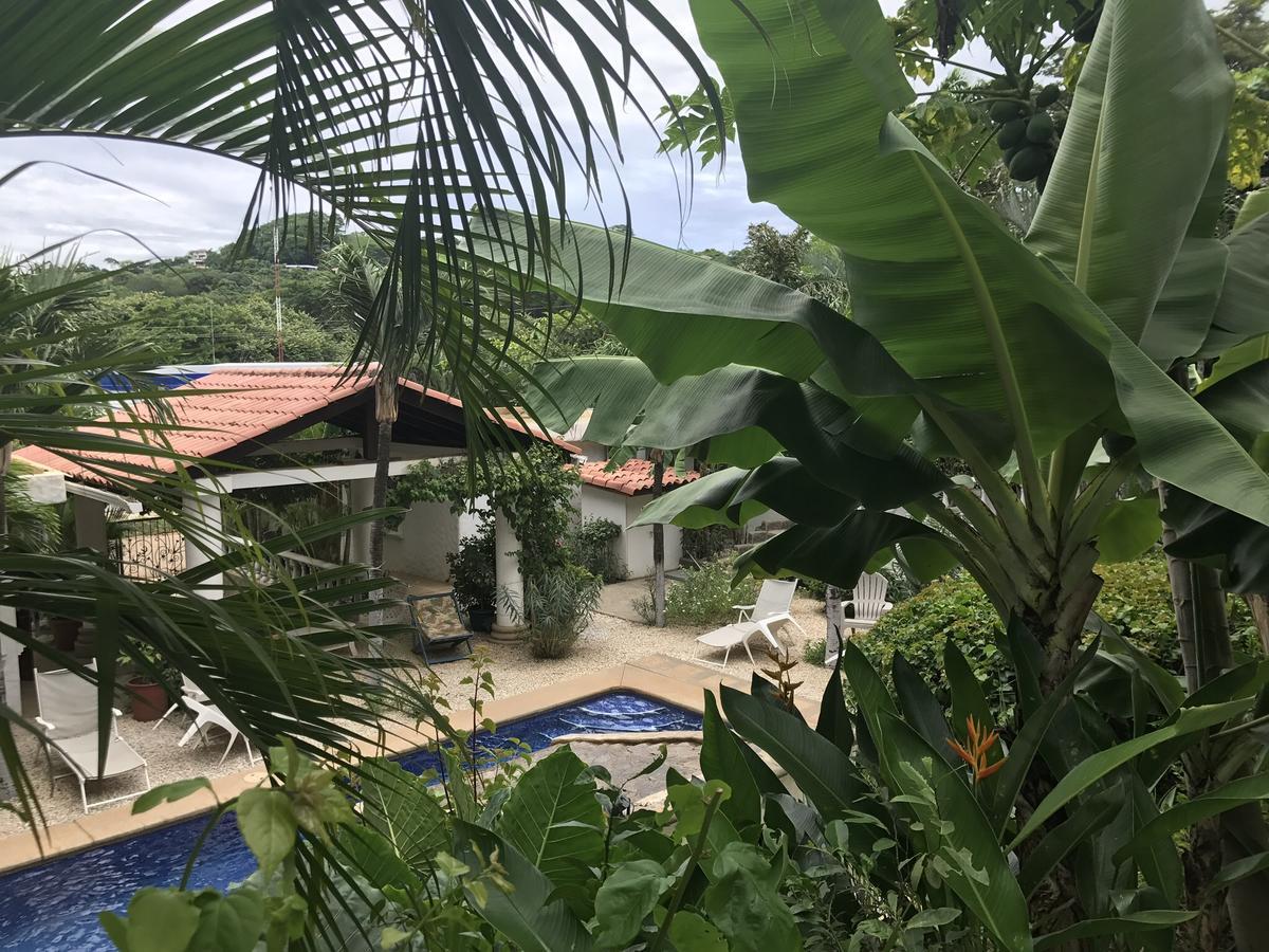 Hotel Flores (Adults Only) Tamarindo Exteriör bild