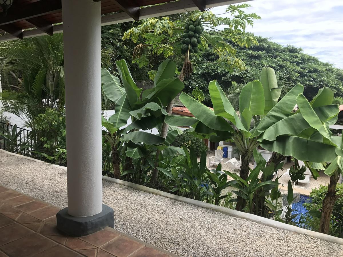 Hotel Flores (Adults Only) Tamarindo Exteriör bild
